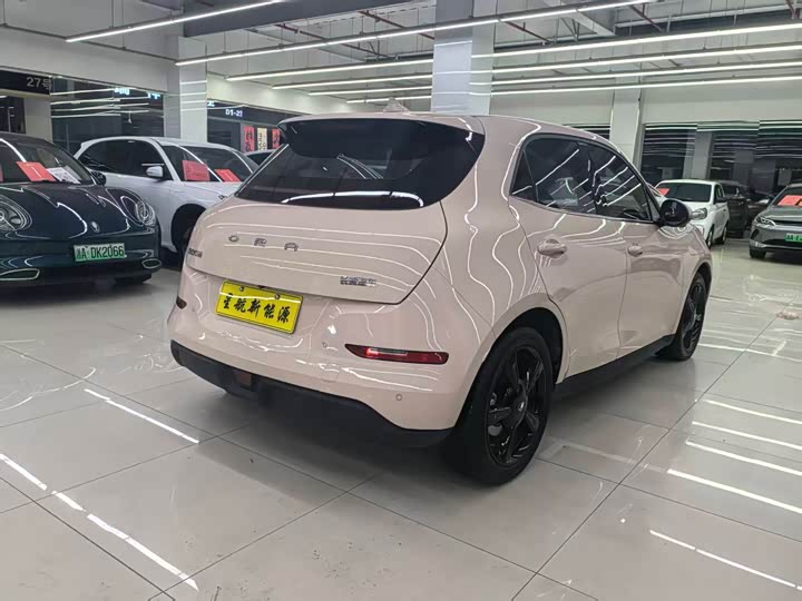 Ora Good Cat (03) 2024 2024款 401km 豪华型