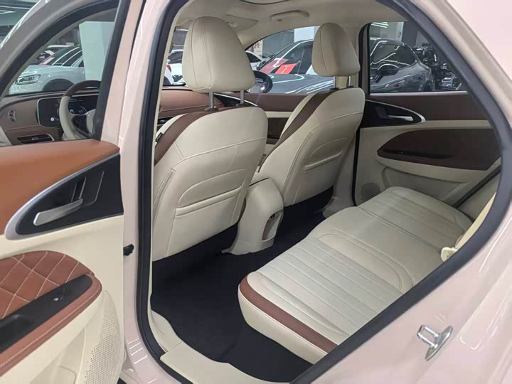 Ora Good Cat (03) 2024 2024款 401km 豪华型