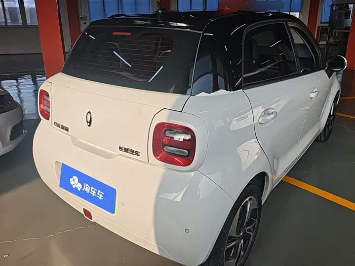 Ora Black Cat 2022 2022款 351km 舒适型 三元锂