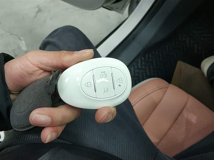 BAIC Arcfox Kaola 2023 2023款 家庭版