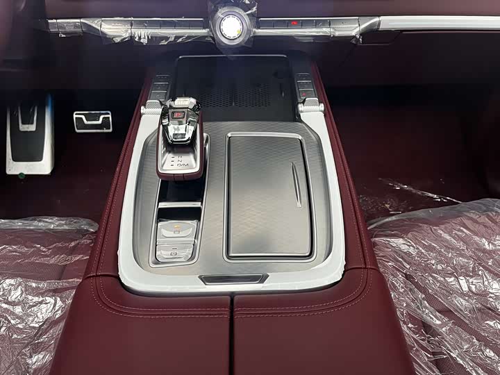 Tank 700 Hybrid 2024 2024款 Hi4-T 极境版