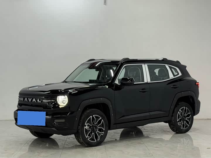 Haval H-Dog Hybrid 2026 2026款 Hi4 105km 潮电版