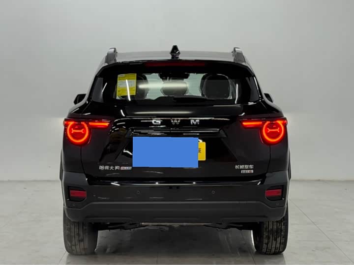 Haval H-Dog Hybrid 2026 2026款 Hi4 105km 潮电版