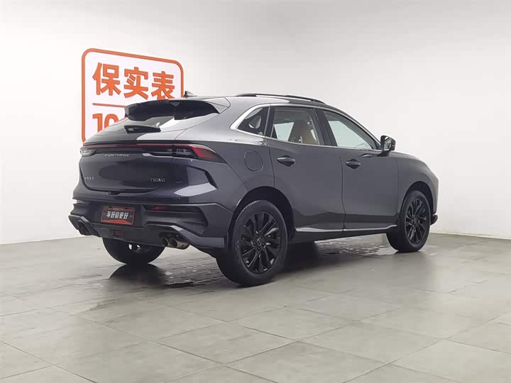 2024 Dongfeng Forthing T5 EVO