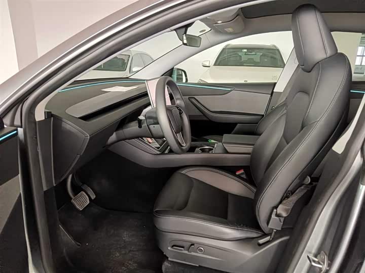 Tesla Model Y 2025 2025款 后轮驱动版