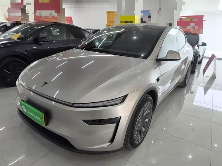 Tesla Model Y 2025 2025款 长续航全轮驱动版