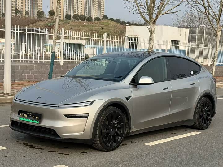 Tesla Model Y 2025 2025款 长续航全轮驱动版