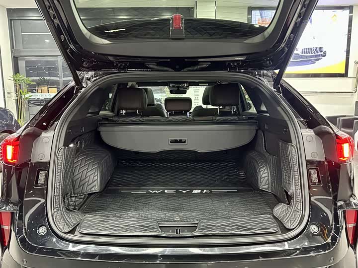 Wey Mocha 2021 2021款 2.0T 两驱特浓版