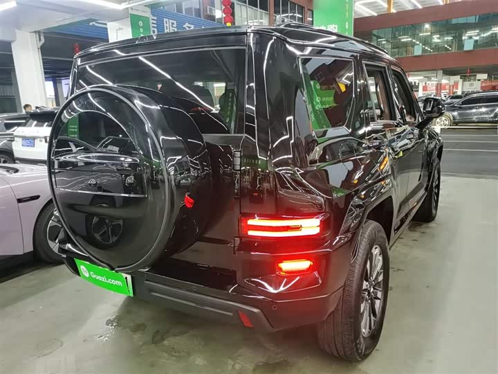 Tank 700 Hybrid 2024 2024款 Hi4-T 极境版