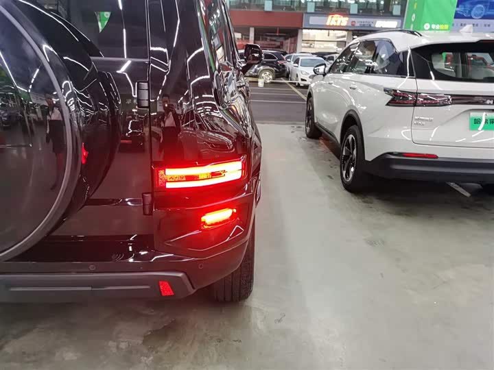 Tank 700 Hybrid 2024 2024款 Hi4-T 极境版