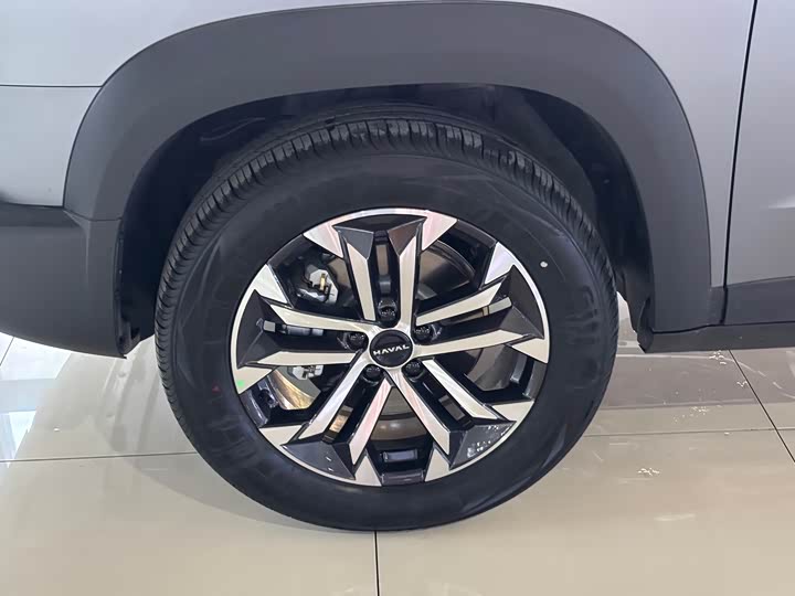 Haval Dargo 2026 2026款 2.0T DCT中华田园犬版