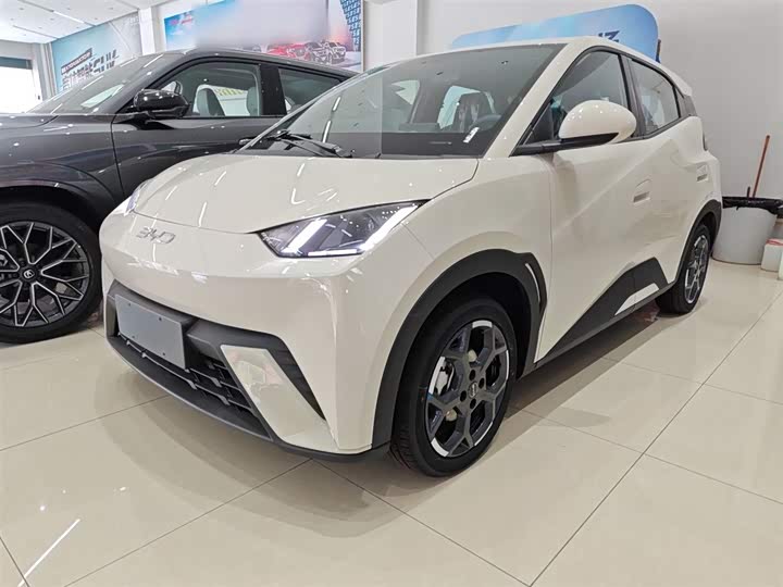 BYD Seagull 2025 2025款 305km 自由版