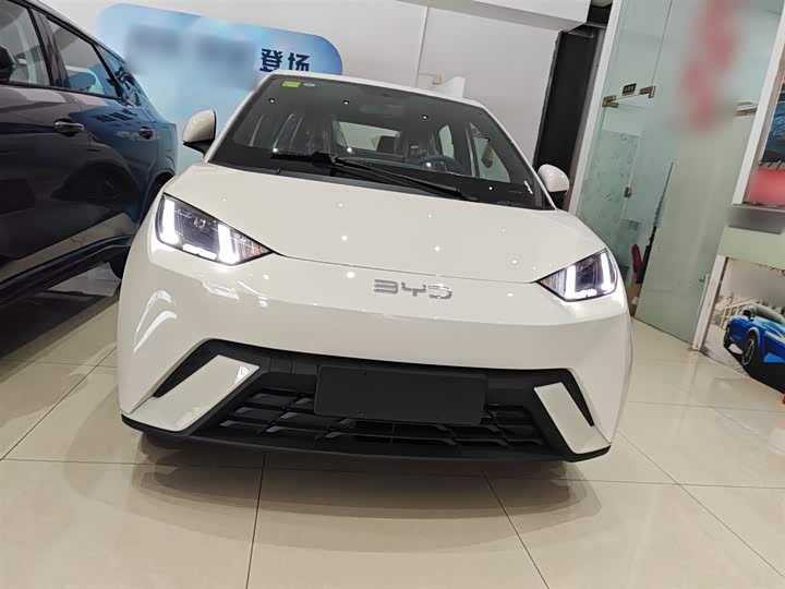 BYD Seagull 2025 2025款 305km 自由版