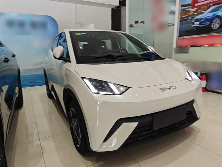 BYD Seagull 2025 2025款 305km 自由版