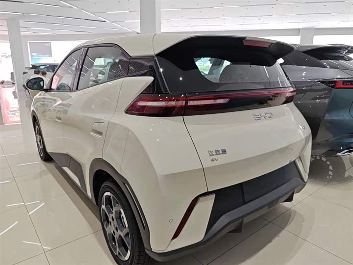 BYD Seagull 2025 2025款 305km 自由版