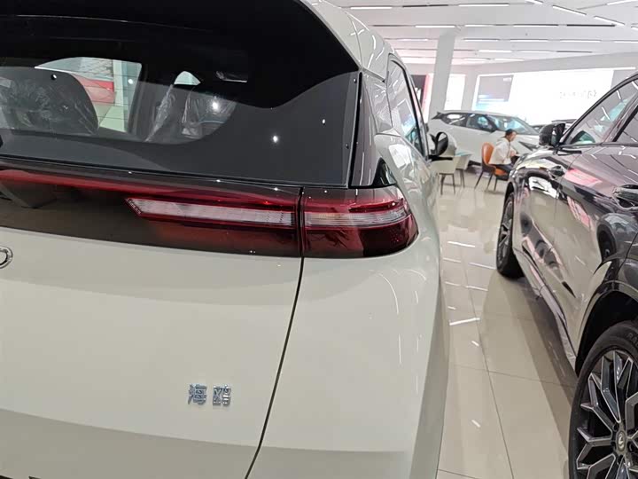 BYD Seagull 2025 2025款 305km 自由版