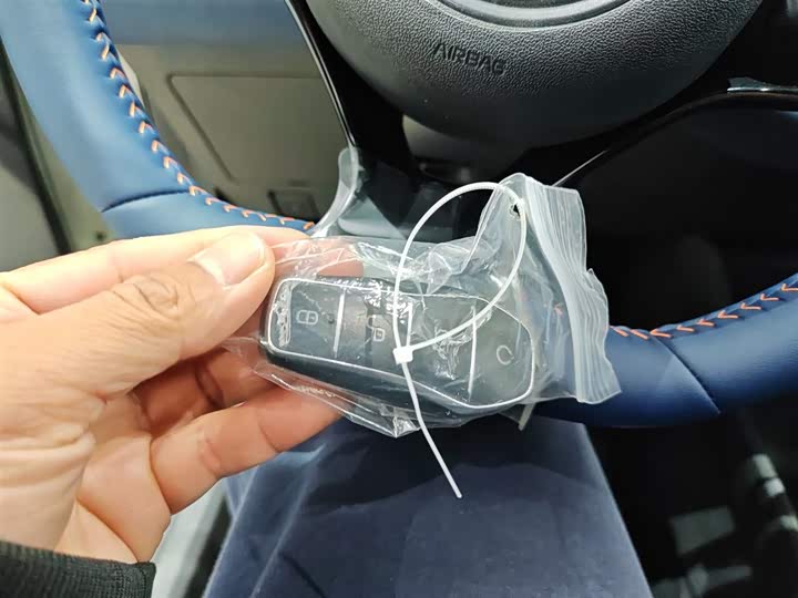 BYD Seagull 2025 2025款 305km 自由版