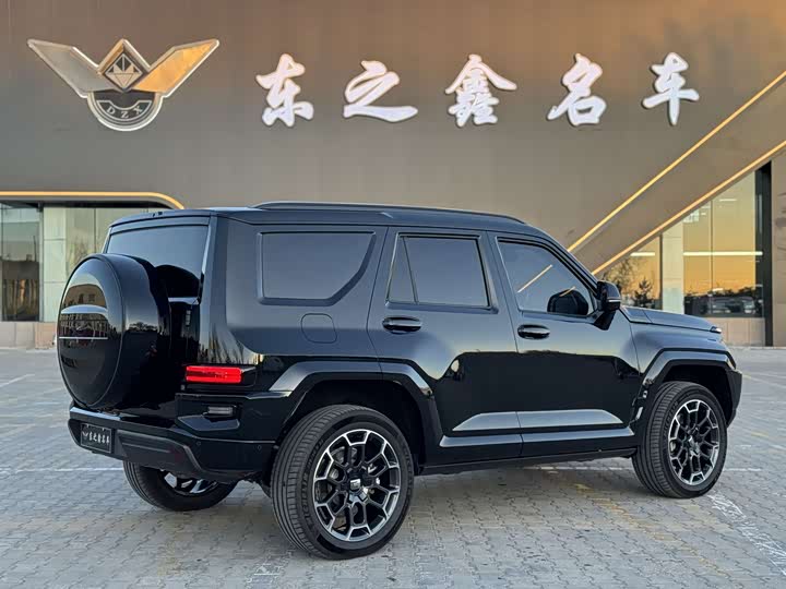 Tank 700 Hybrid 2024 2024款 Hi4-T 极境版