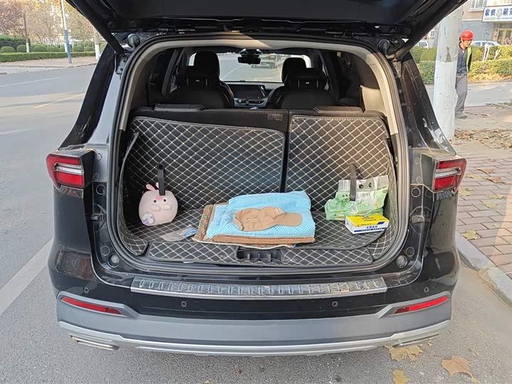 Ford Equator 2021 2021款 EcoBoost 225 尊领型 6座