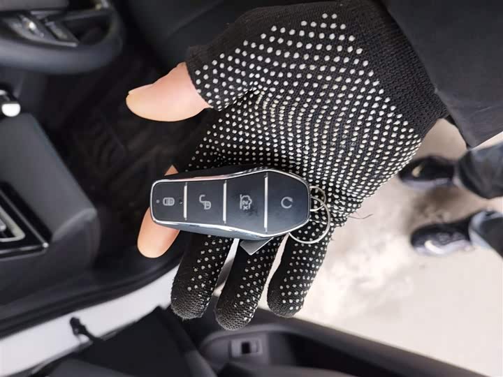 BYD Qin L 2026 2026款 DM-i 128KM领先型