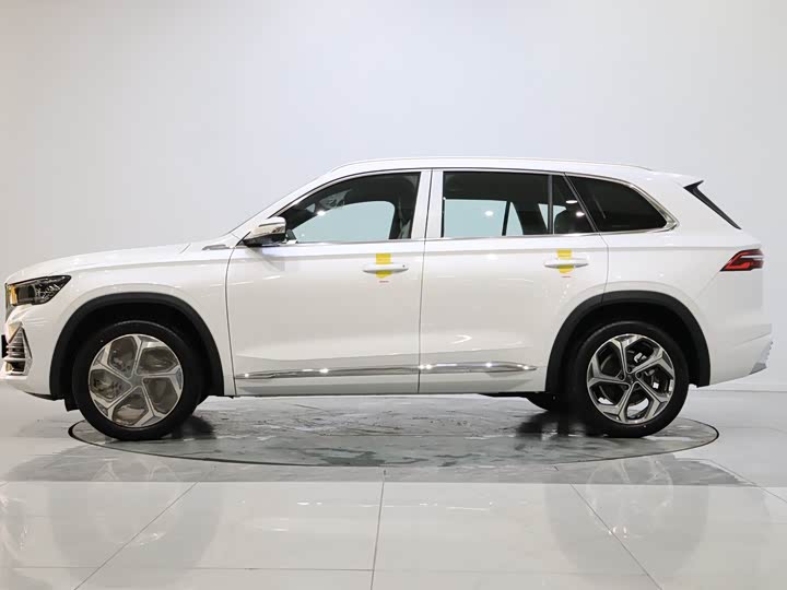 Geely Monjaro 2024 2024款 2.0TD DCT EVO两驱长风版