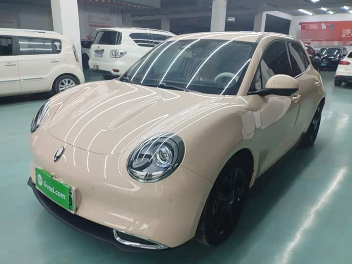 Ora Good Cat (03) 2024 2024款 401km 尊荣型 135kW