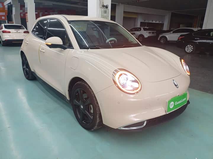 Ora Good Cat (03) 2024 2024款 401km 尊荣型 135kW