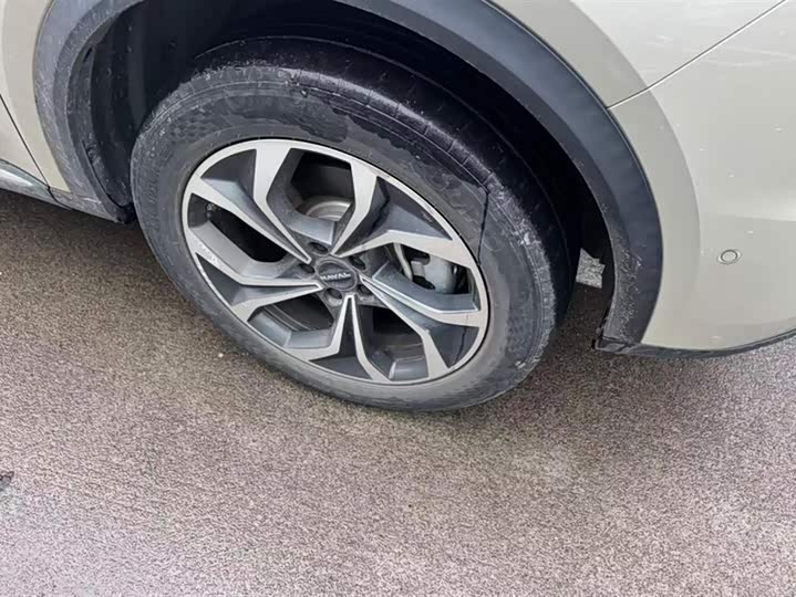 Haval Ruge Max 2023 2023款 1.5L Hi4 105 四驱智能旗舰版