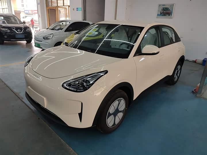 Geely Galaxy Geome 2026 2026款 310km 青春版