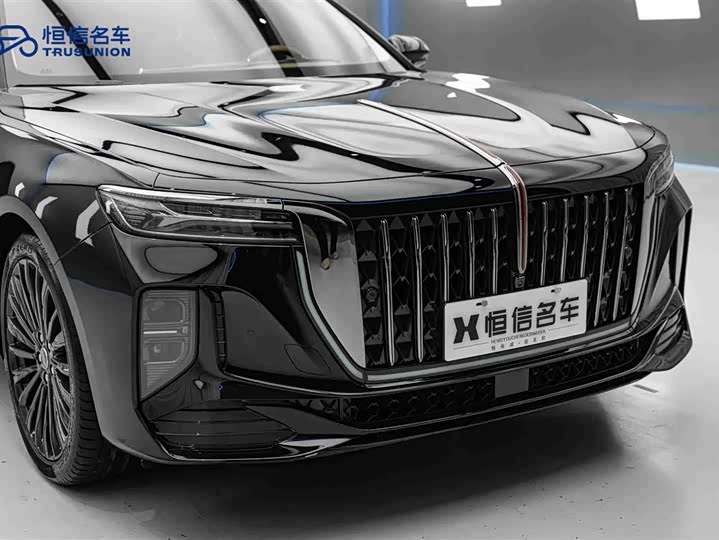 Hongqi H9 2025 2025款 改款 2.0T 两驱旗享私享风尚版 5座