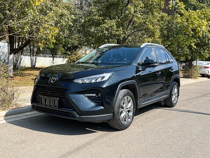 Toyota Wildlander 2024 2024款 2.0L CVT两驱领先版