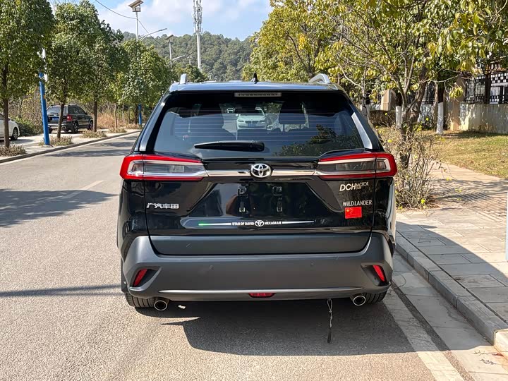 Toyota Wildlander 2024 2024款 2.0L CVT两驱领先版