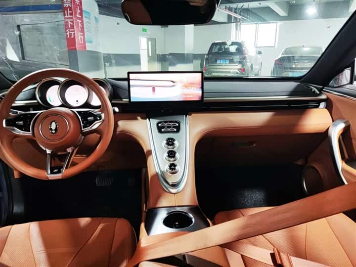 Ora Lightning Cat (07) 2022 2022款 555km 尊贵版