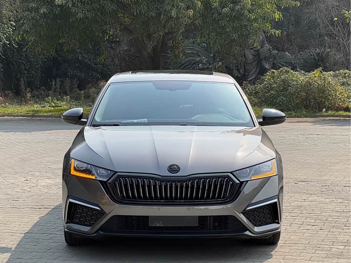 Skoda Octavia Pro 2022 2022款 PRO TSI280 尊享版