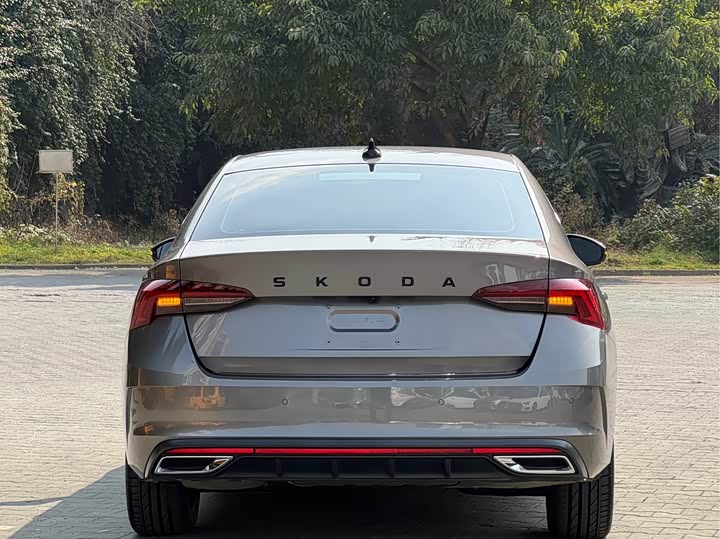 Skoda Octavia Pro 2022 2022款 PRO TSI280 尊享版