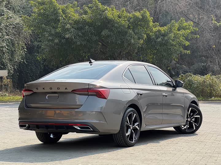 Skoda Octavia Pro 2022 2022款 PRO TSI280 尊享版