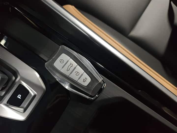 Geely Okavango Pro 2024 2024款 1.5T DCT 纵横+