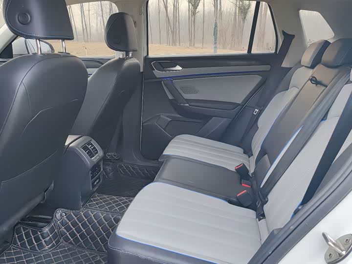 Volkswagen Tayron GTE Hybrid 2023 2023款 280TSI 豪华Plus进阶版