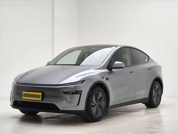 Tesla Model Y 2025 2025款 后轮驱动版