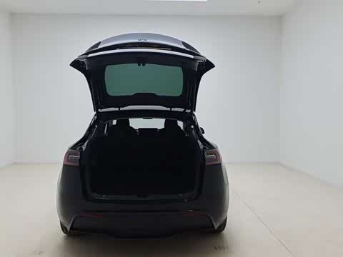 Tesla Model Y 2025 2025款 后轮驱动版