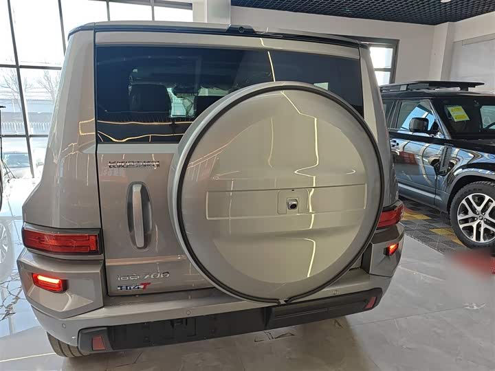 Tank 700 Hybrid 2024 2024款 Hi4-T 极境版