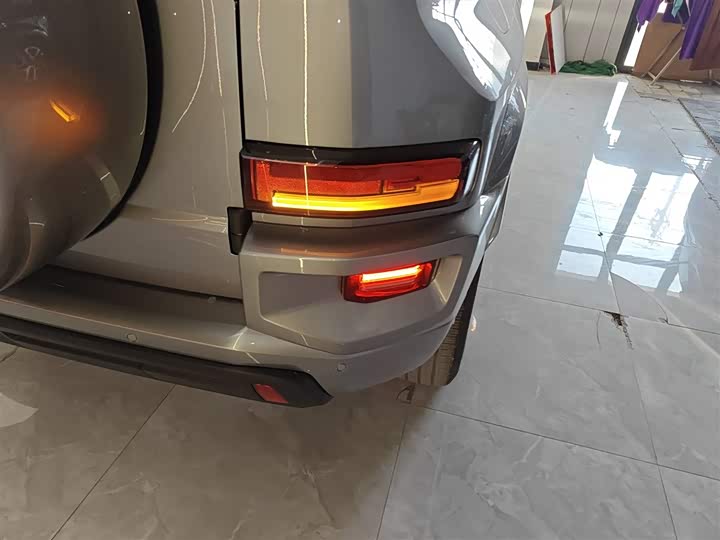 Tank 700 Hybrid 2024 2024款 Hi4-T 极境版