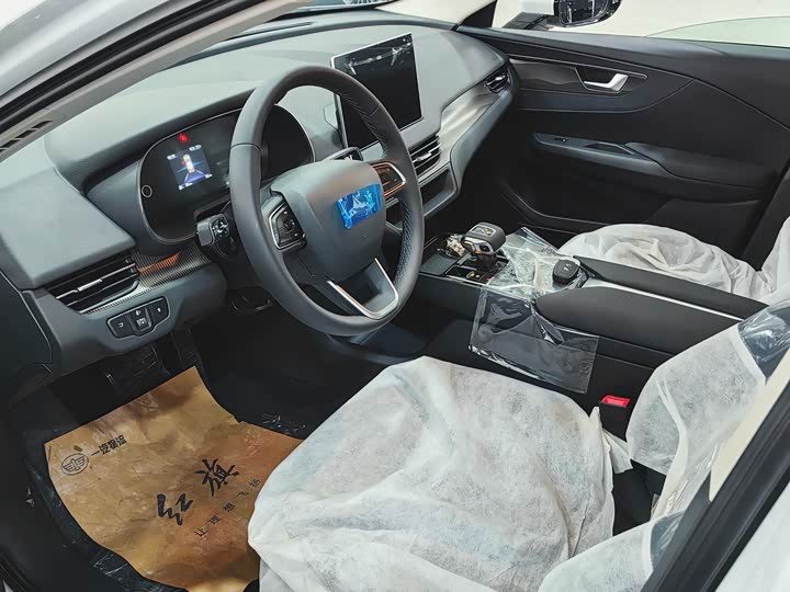 Hongqi E-QM5 2022 2022款 431km 换电乐享版