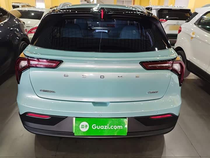 Geely Geometry E Firefly 2024 2024款 401km 星光