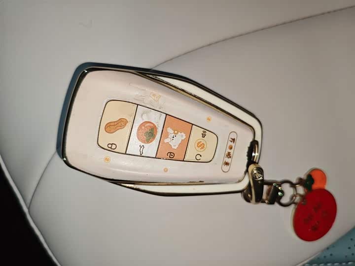 Geely Geometry E Firefly 2024 2024款 401km 星光