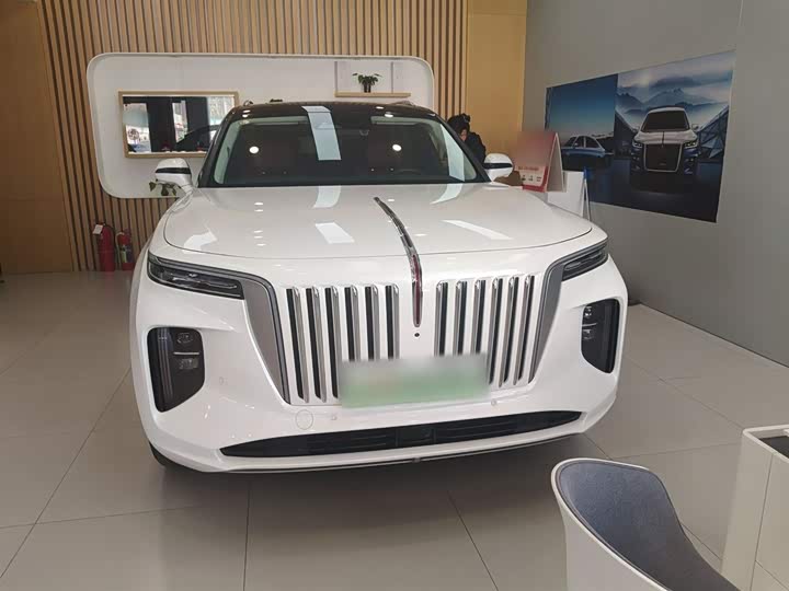 Hongqi E-HS9 2021 2021款 510km 旗畅版 六座