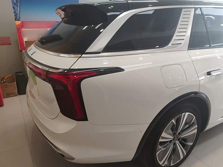 Hongqi E-HS9 2021 2021款 510km 旗畅版 六座