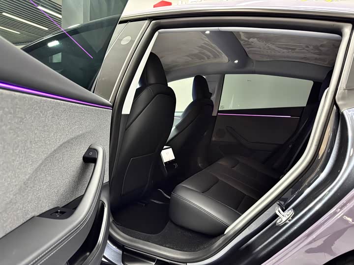 Tesla Model 3 2025 2025款 后轮驱动版