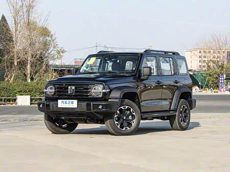 Tank 300 Hybrid 2025 2025款 Hi4-T 36.7kWh