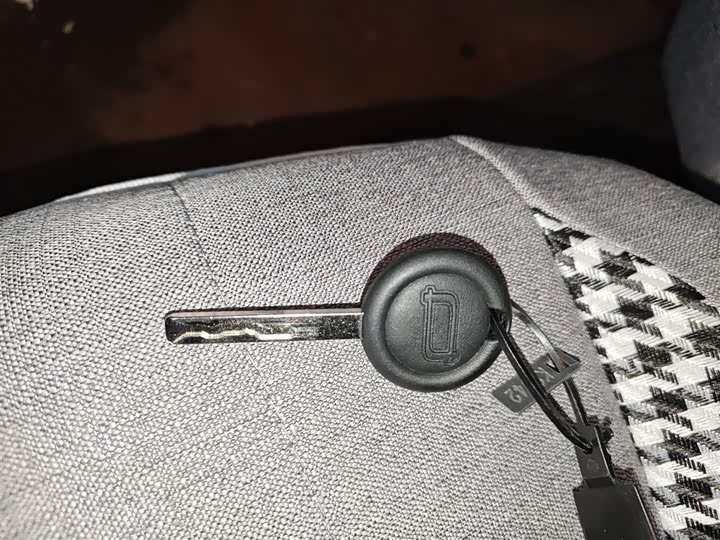 Bestune Pony 2025 2025款 222km 灵动马